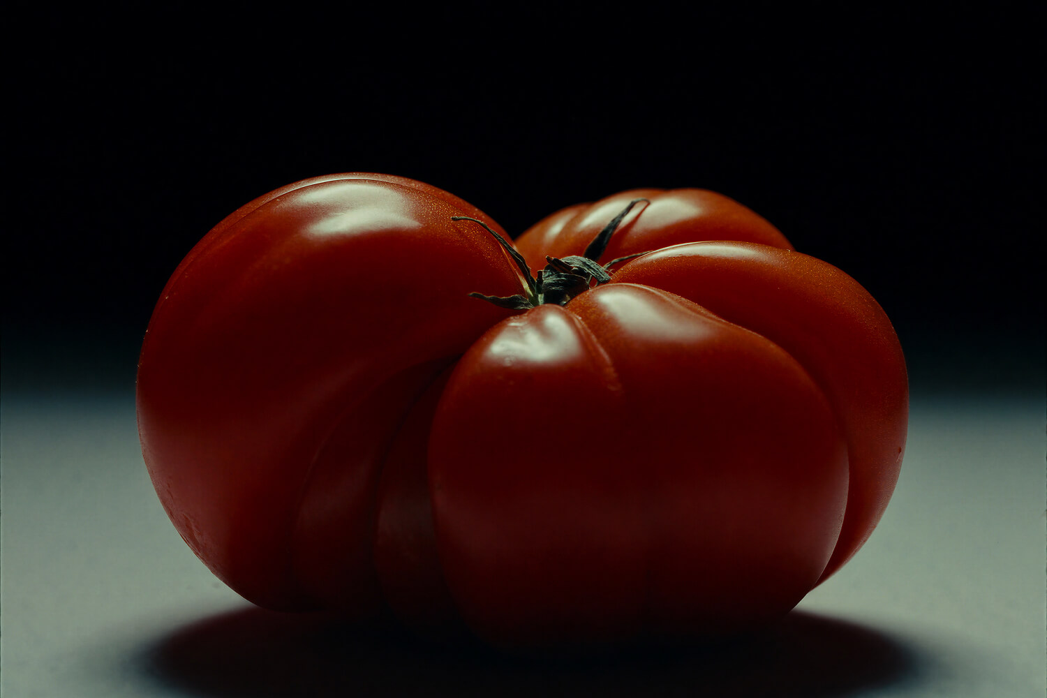 A single heirloom tomato under hard light on grey steel against black